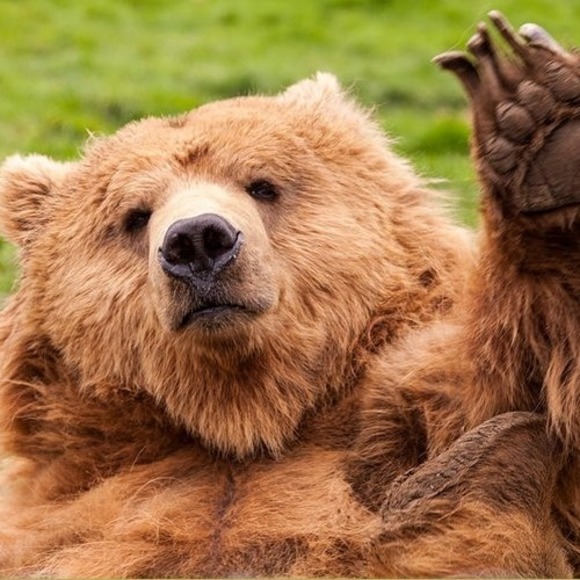 Meet your Posher, Rita - Picture 1 of 1